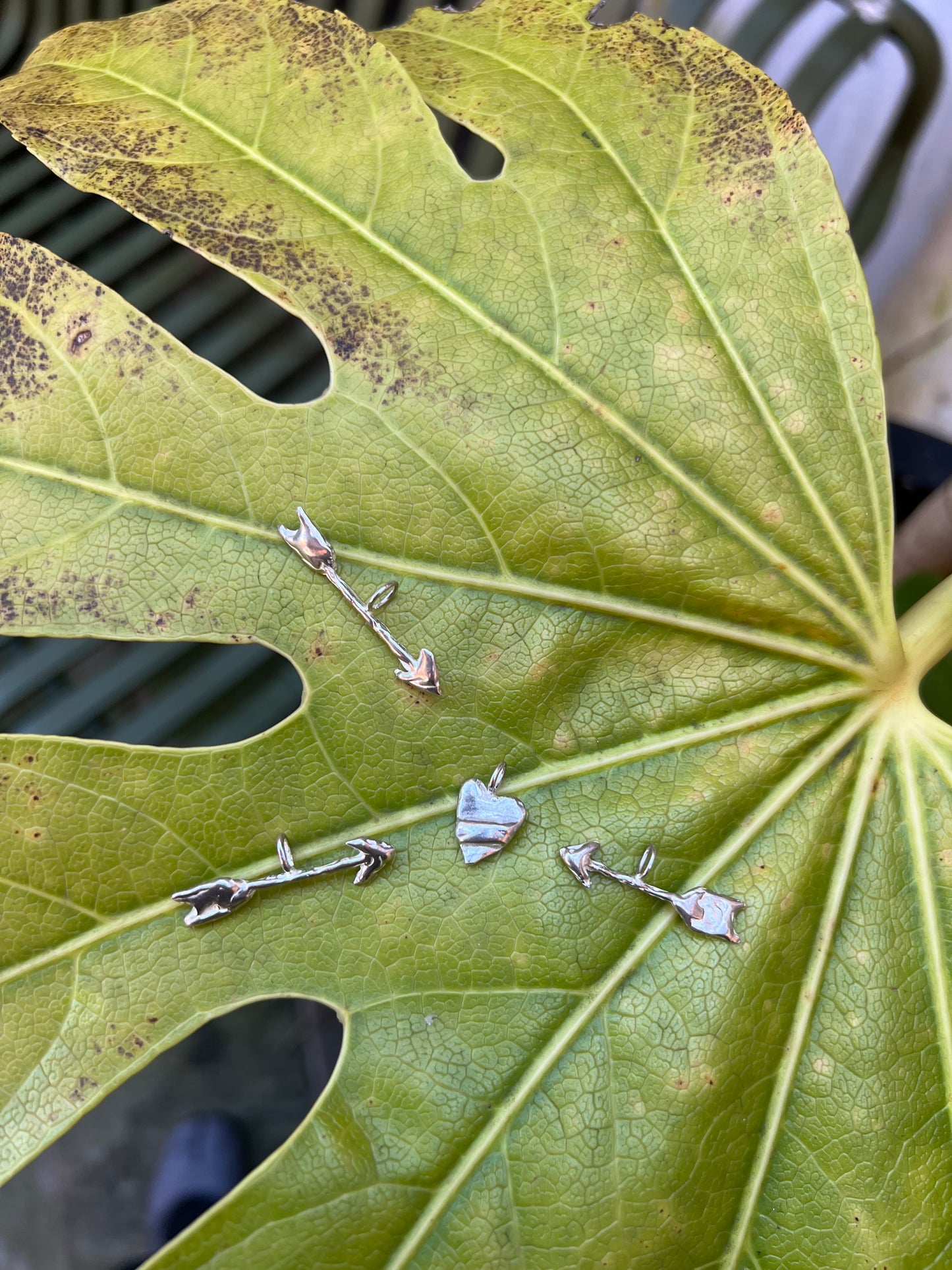 Silver jewelry pieces on a green leaf